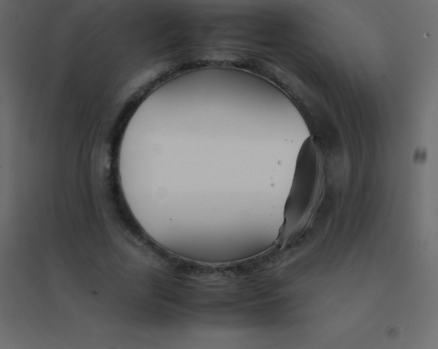 X0000094950731200712131622