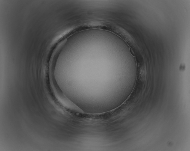 X0000094950732200712131622