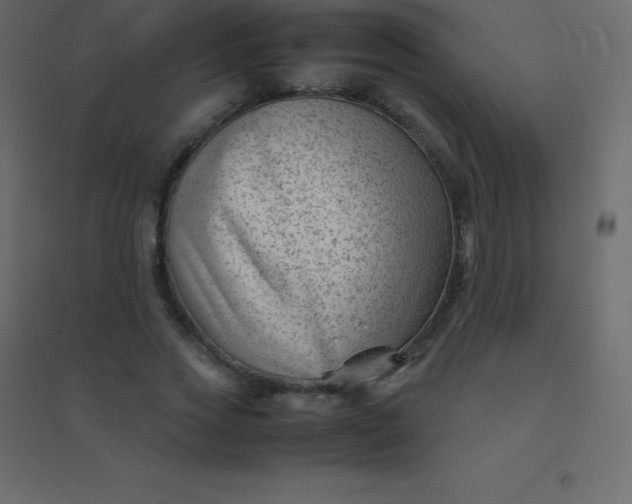 X0000094950733200712131622