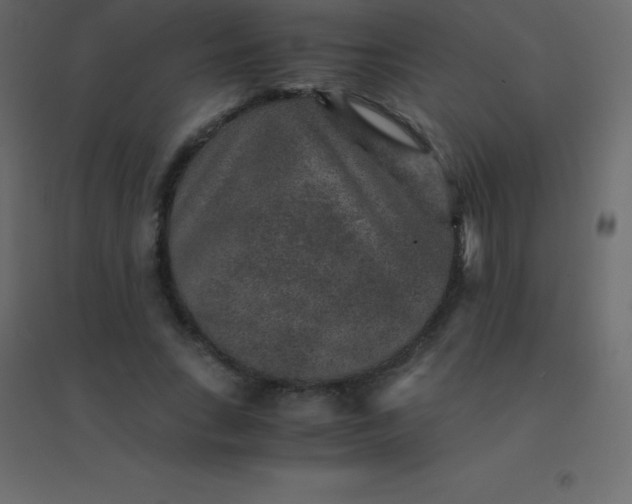 X0000094950735200712131622