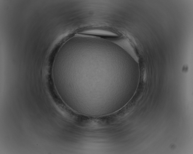 X0000094950736200712131622