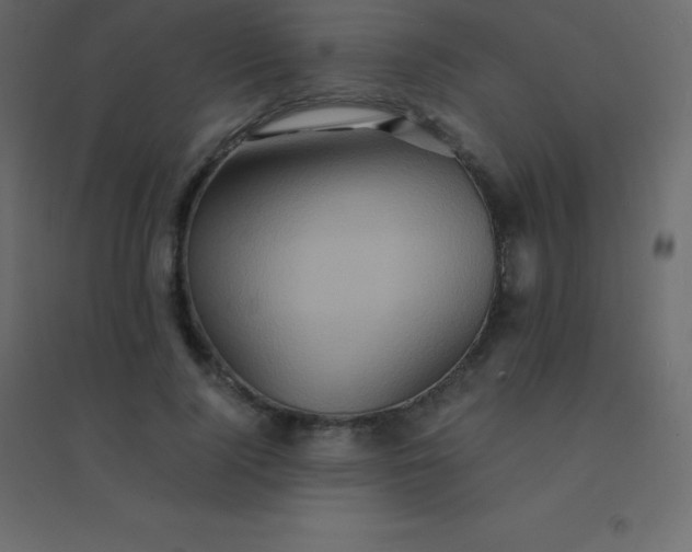 X0000094950740200712131622