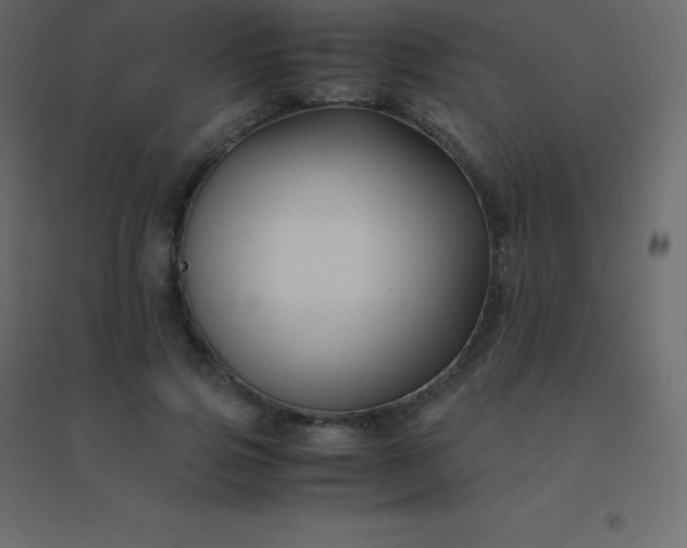 X0000094950741200712131622