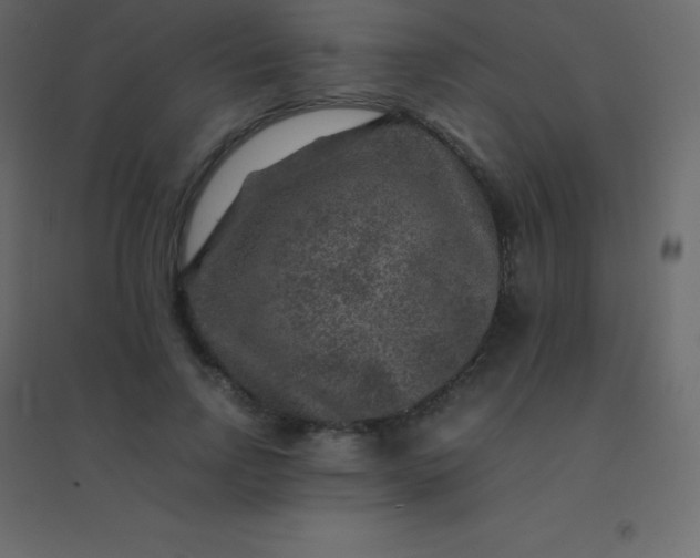 X0000094950742200712131622