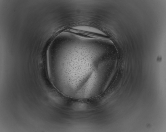 X0000094950743200712131622