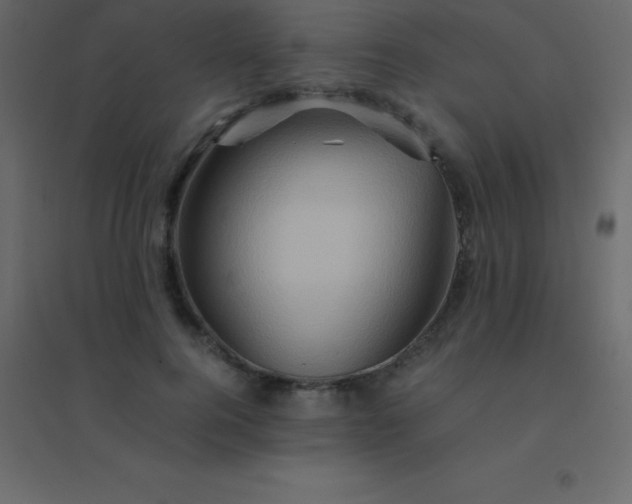 X0000094950744200712131622