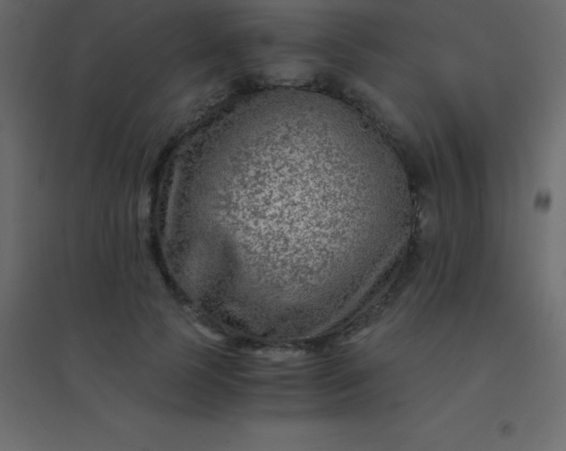 X0000094950745200712131622