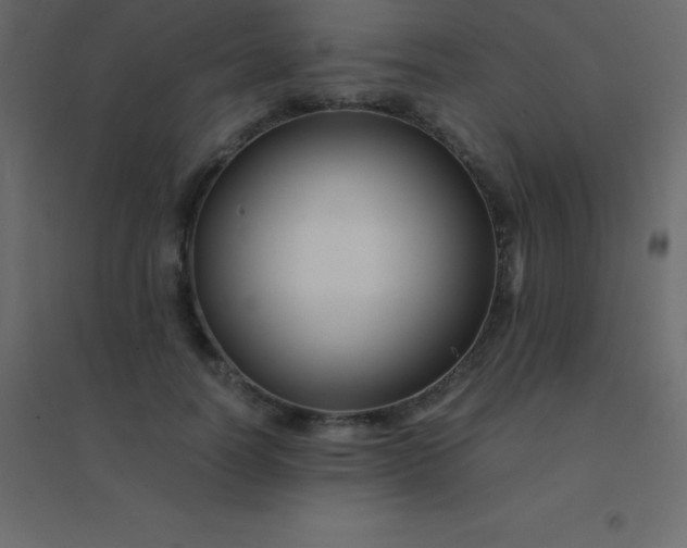 X0000094950746200712131622