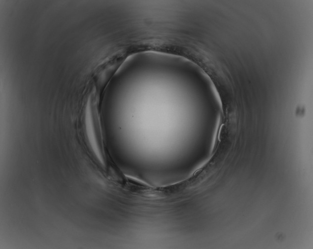 X0000094950750200712131622