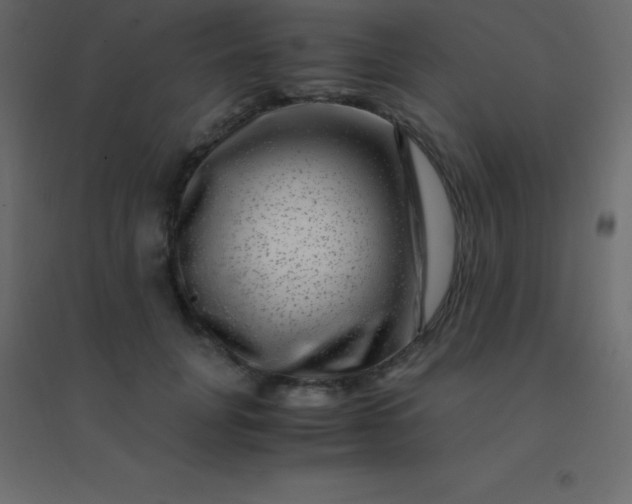 X0000094950751200712131622