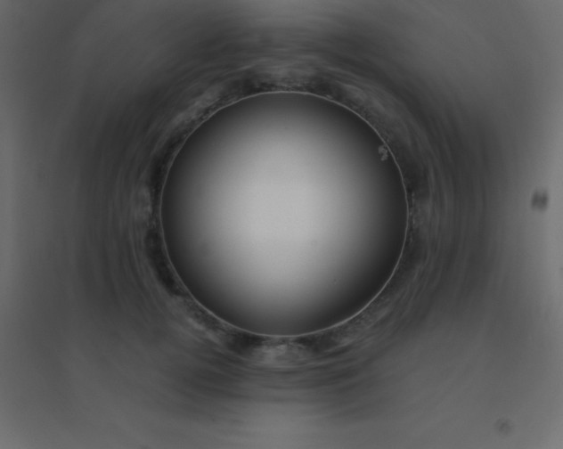 X0000094950752200712131622