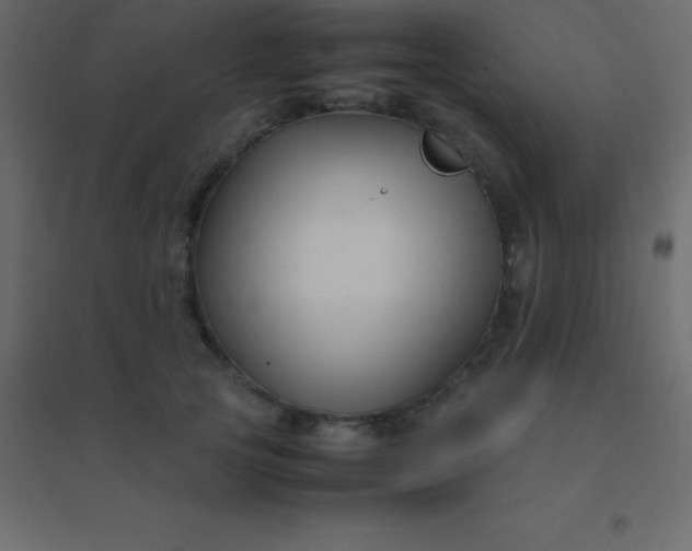 X0000094950753200712131622