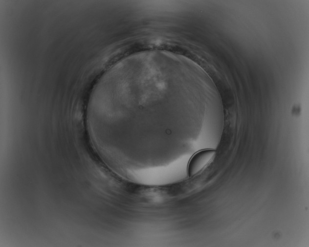 X0000094950754200712131622