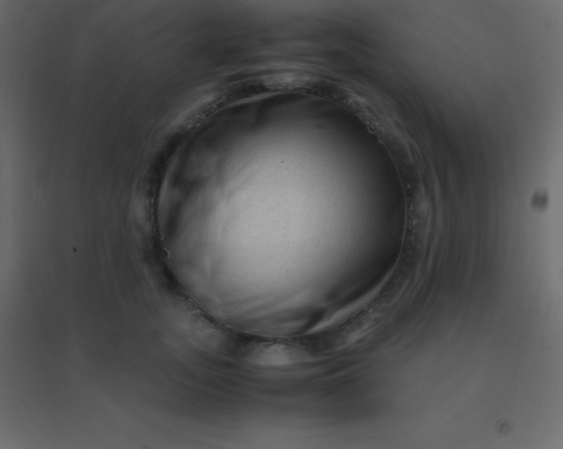 X0000094950755200712131622