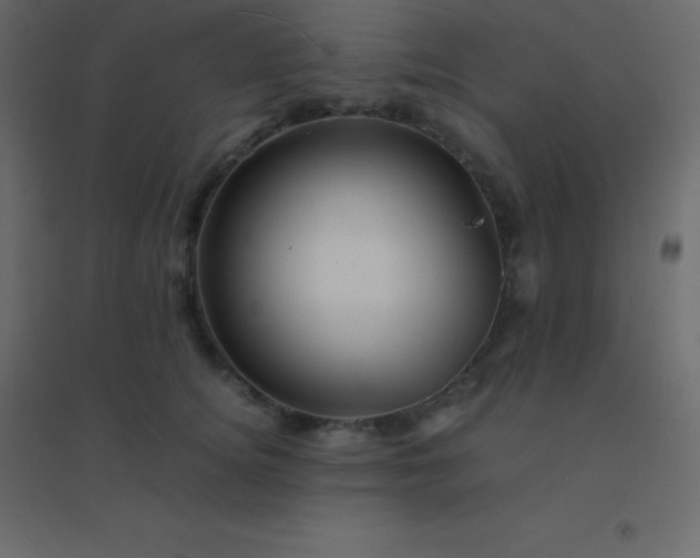 X0000094950756200712131622