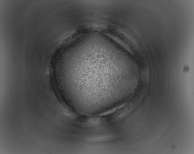 X0000094950757200712131622