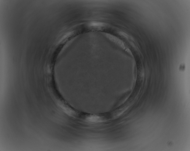 X0000094950759200712131622