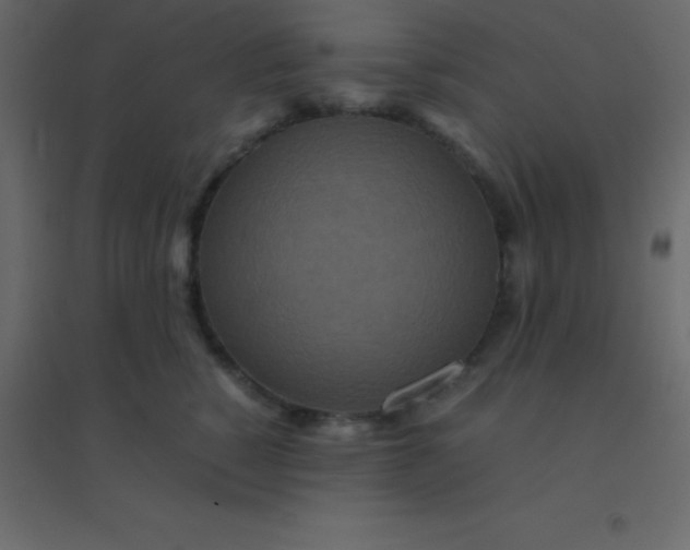 X0000094950760200712131622