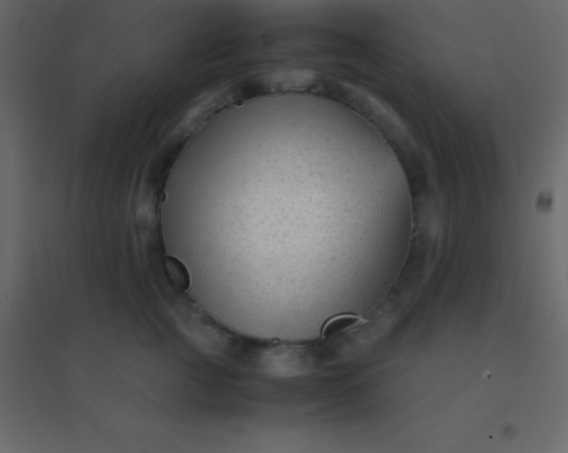 X0000094950761200712131622