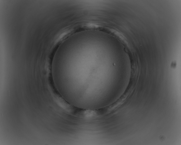 X0000094950762200712131622