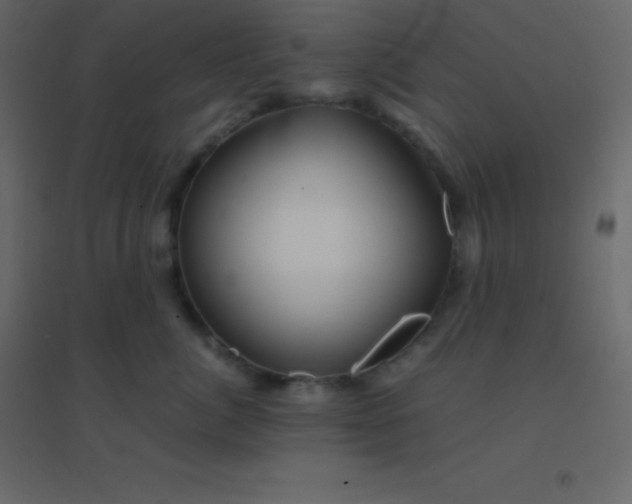 X0000094950764200712131622