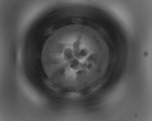 X0000094950765200712131622