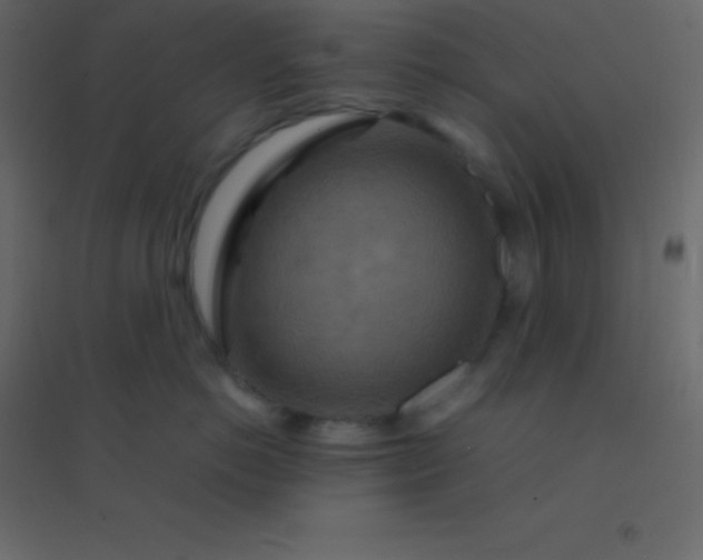 X0000094950766200712131622