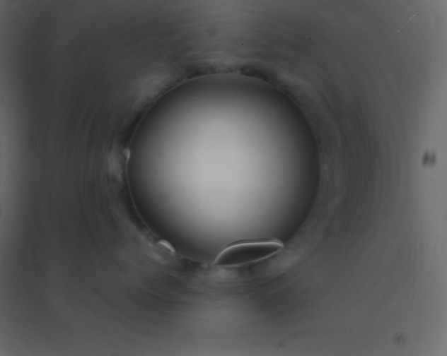 X0000094950768200712131622