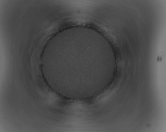 X0000094950769200712131621