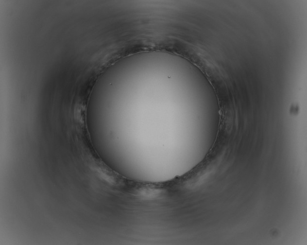 X0000094950770200712131621