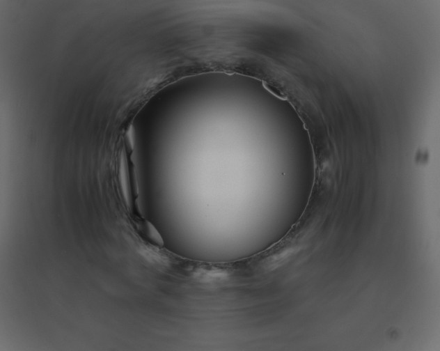 X0000094950772200712131621