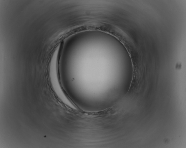 X0000094950773200712131621