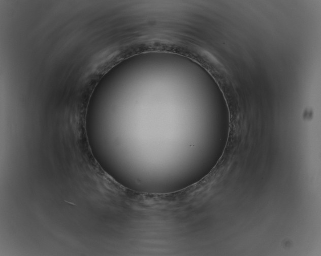 X0000094950774200712131621