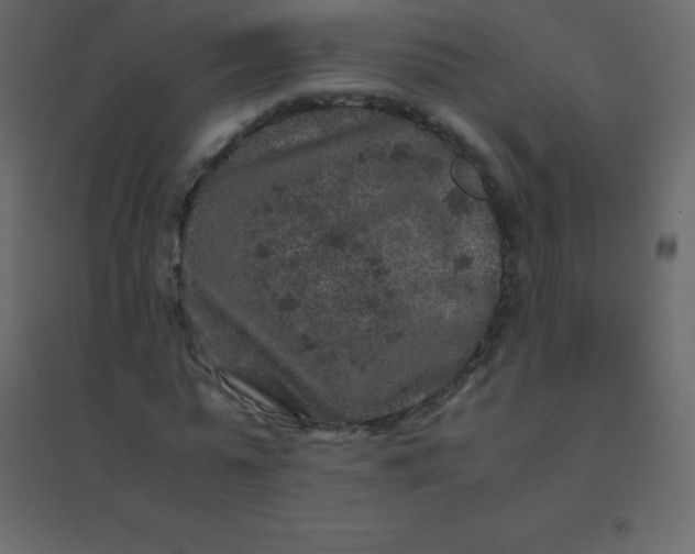 X0000094950775200712131621