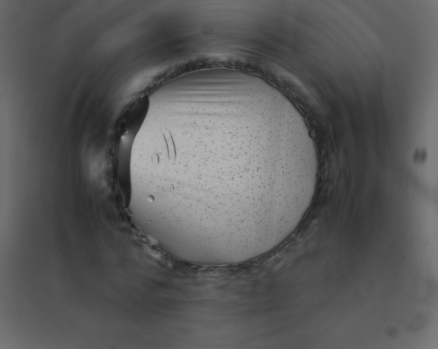 X0000094950776200712131621