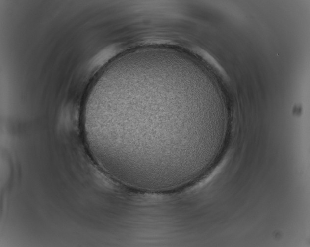 X0000094950777200712131621