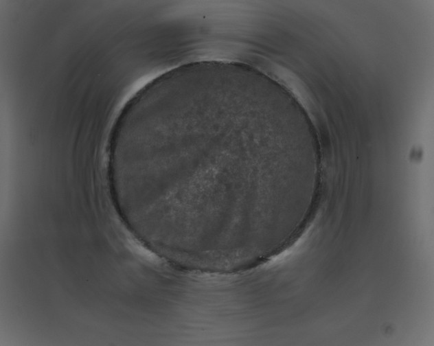 X0000094950779200712131621