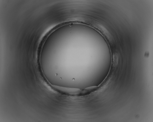 X0000094950780200712131621