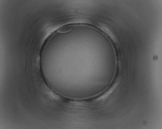 X0000094950781200712131621