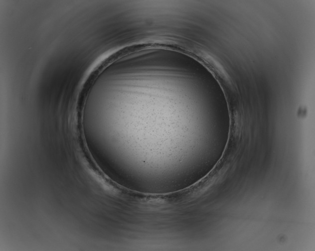 X0000094950784200712131621