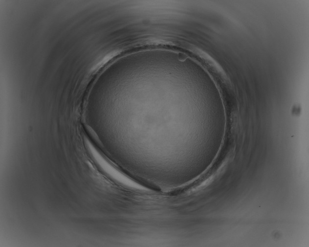 X0000094950785200712131621