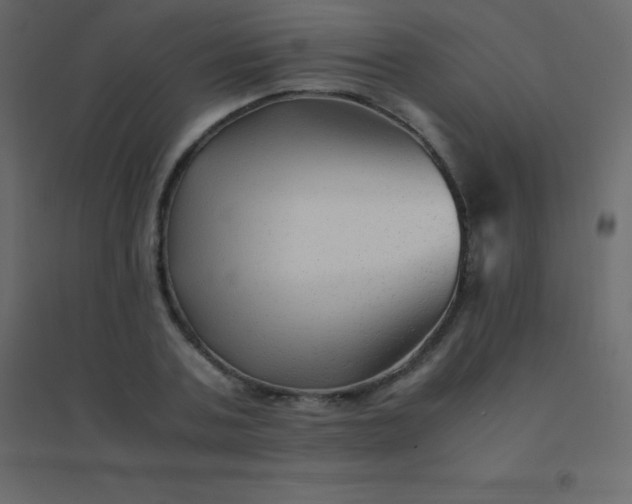 X0000094950787200712131621