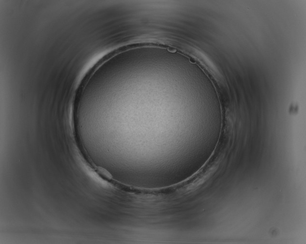 X0000094950788200712131621