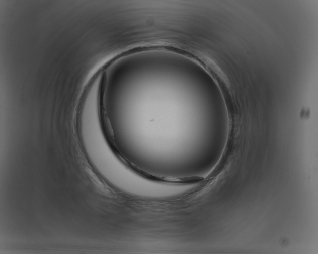 X0000094950789200712131621