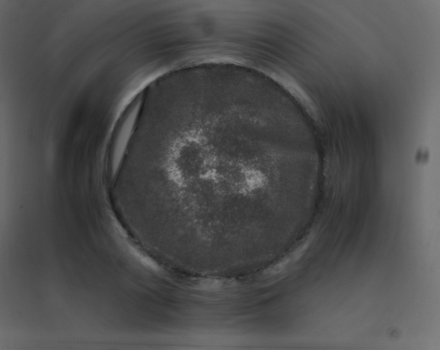 X0000094950790200712131621