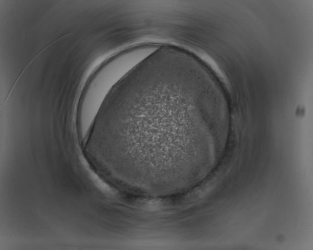 X0000094950791200712131621