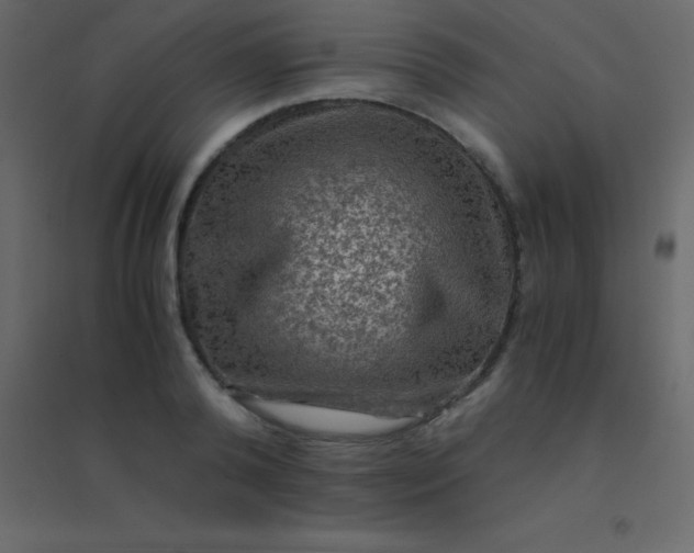 X0000094950792200712131621