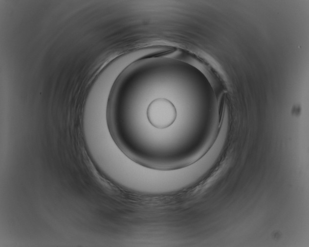 X0000094950793200712131621