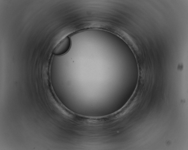 X0000094950794200712131621