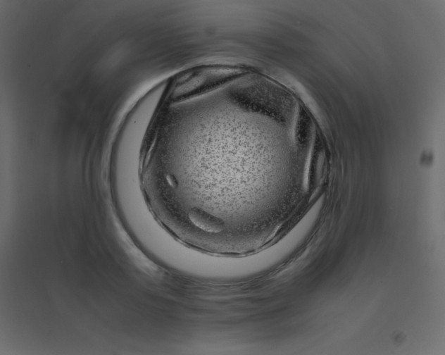 X0000094950795200712131621